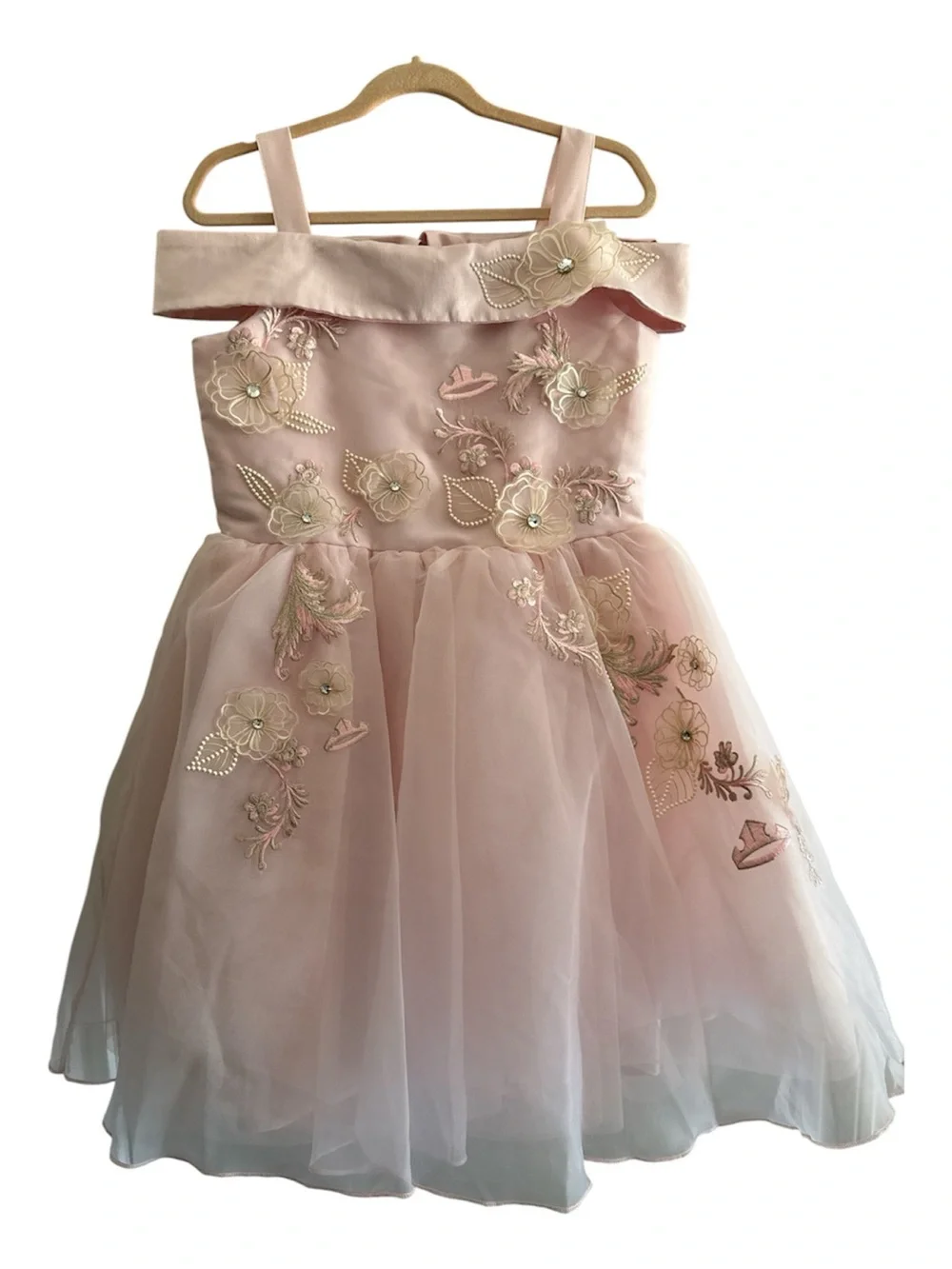 Disney Princess Aurora Blush Pink Floral Applique Tulle Embroidered Pearl Dress
